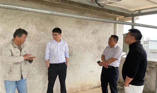 華能廣西分公司領(lǐng)導到我集團項目現(xiàn)場進行實地調(diào)研