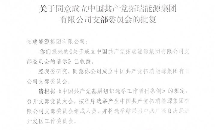 拓瑞能源集團(tuán)黨支部正式成立！